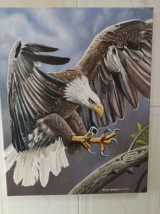 Águia - 40x50 cm